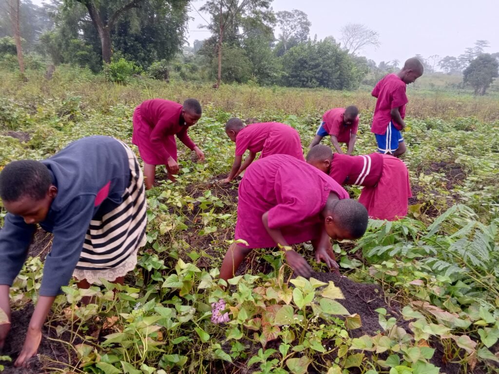 The events of our school 2026